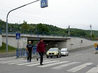2015 Wein 286  Regi geleitet alle wohlbehalten über die Straße!